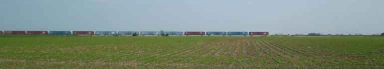 long freight train in distance beyond flat field of soybeans